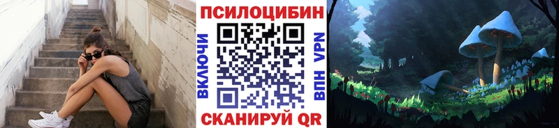 сайты даркнета как зайти  Реутов  Галлюциногенные грибы прущие грибы 